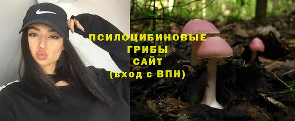сатива Алексин