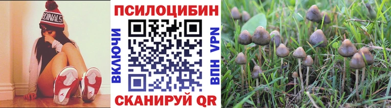 hydra онион  Серпухов  Галлюциногенные грибы MAGIC MUSHROOMS  где купить наркоту 