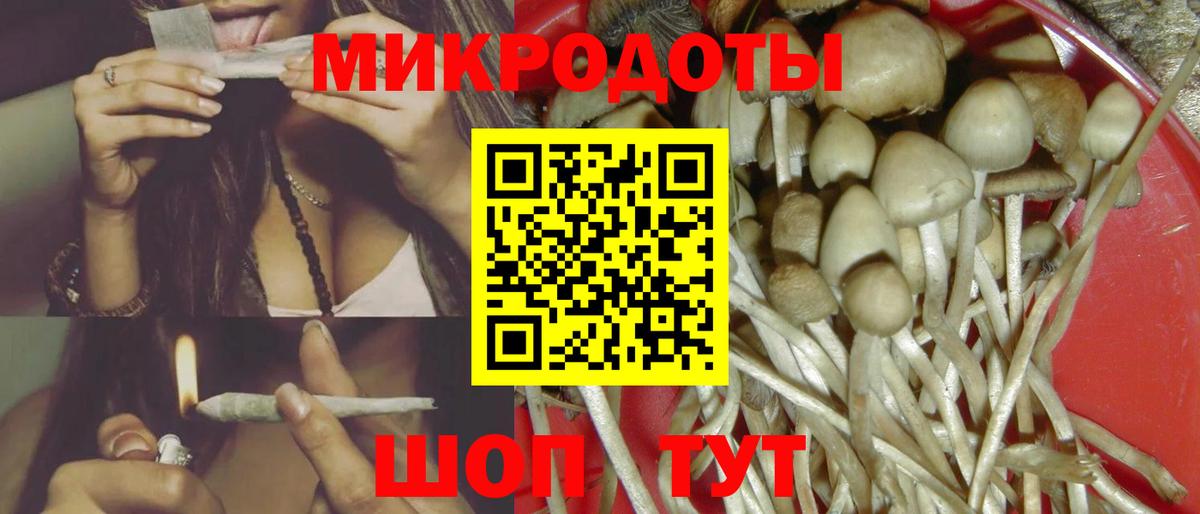 Псилоцибиновые грибы Psilocybine cubensis  Псилоцибиновые грибы мухоморы  Вход с VPN  Серпухов 