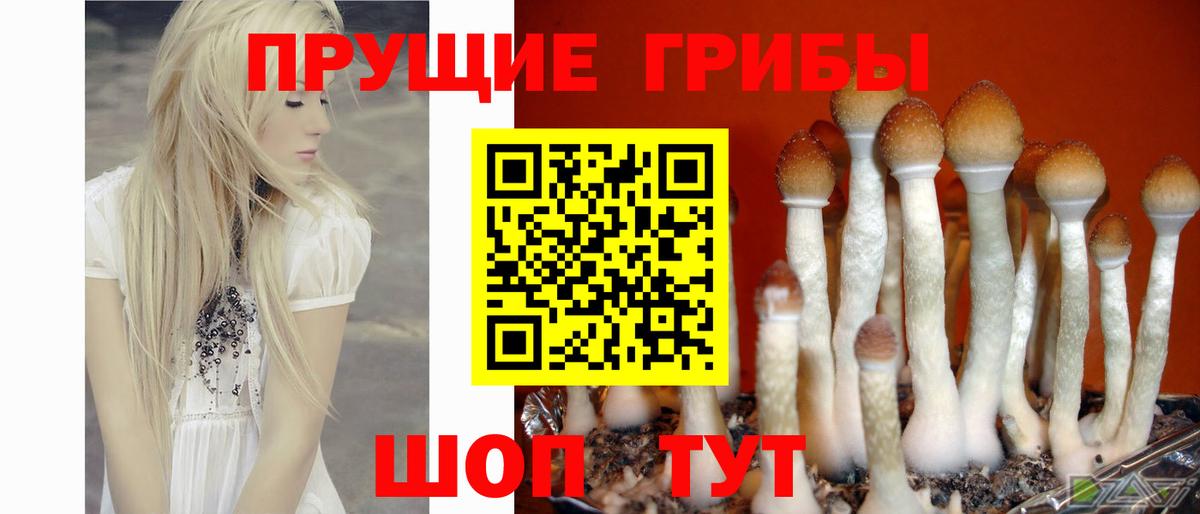 Галлюциногенные грибы MAGIC MUSHROOMS Серпухов